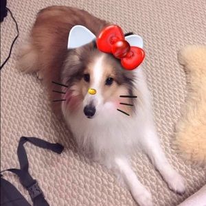 Meet your Posher, Jae